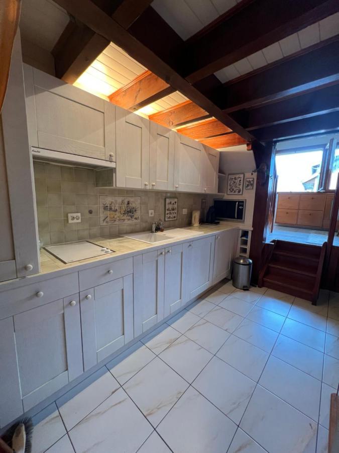 Rare 2 Bedroom With Private Beach On Lake Annecy دوسارد المظهر الخارجي الصورة