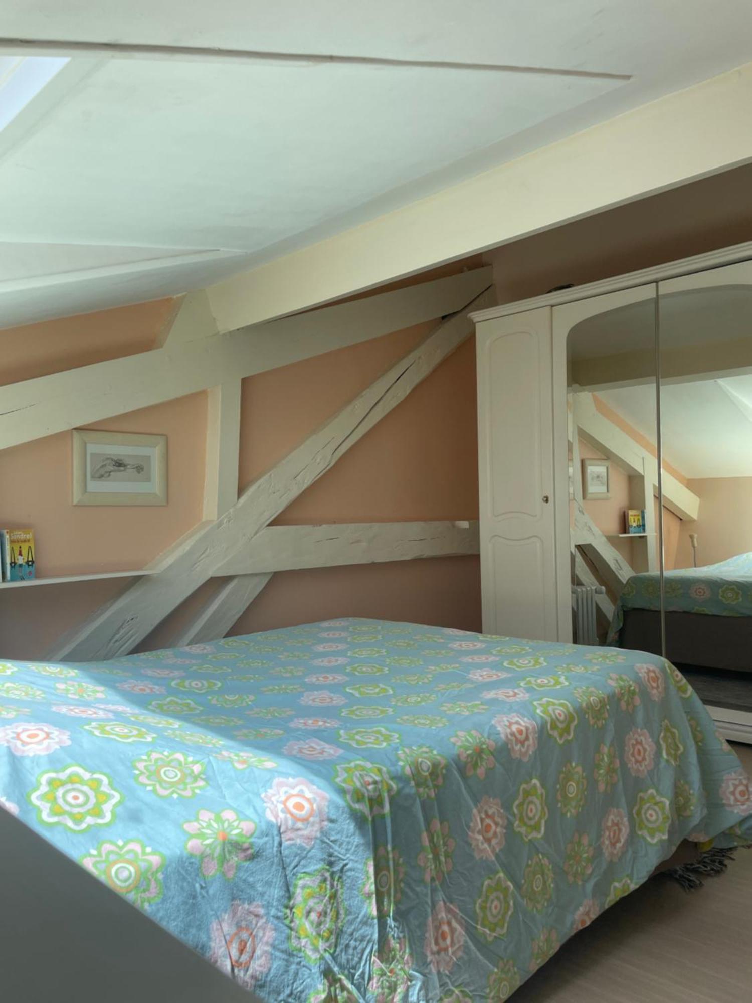 Rare 2 Bedroom With Private Beach On Lake Annecy دوسارد المظهر الخارجي الصورة